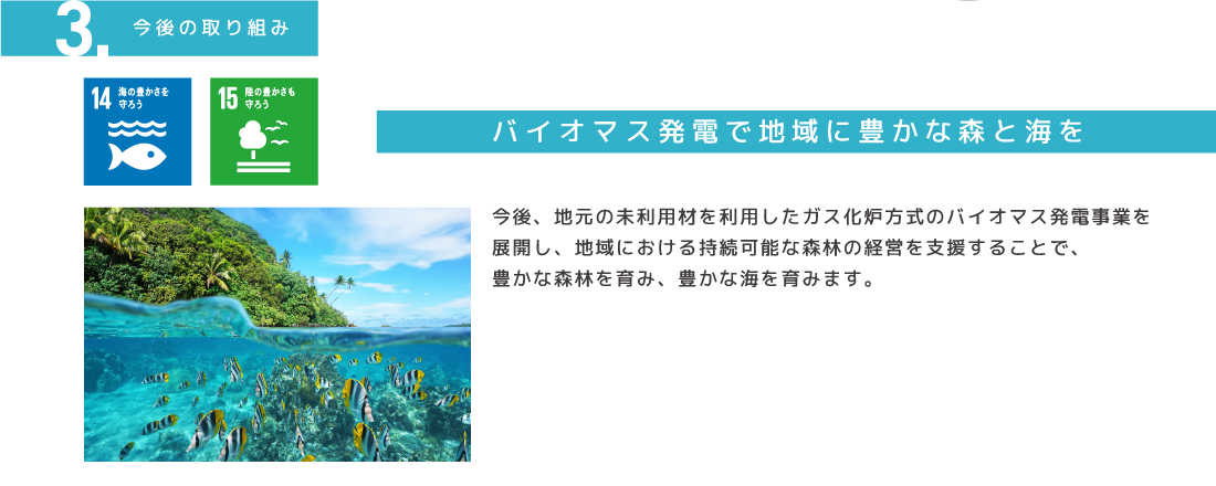 バイオマス発電で地域に豊かな森と海を